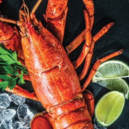 Cooked whole lobster with golden seasoned shell, premium seafood item ideal for catering trays and celebration dining.